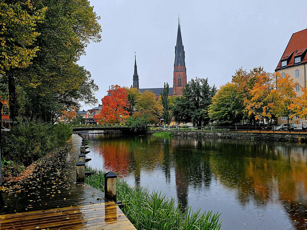 Flytta i Uppsala? Vi ser till att det blir bra